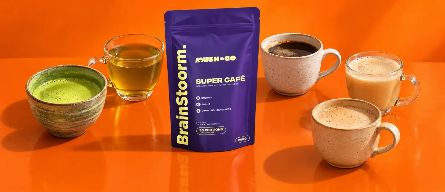 Varias tazas con alternativas al café (matcha, té verde, achicoria, cebada y café de hongos) alrededor de la bolsa de Brainstoorm de Mush N Go