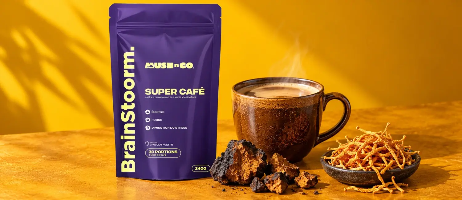 Bolsa de Brainstoorm de Mush N Go con una taza de café de hongos, trozos de chaga y cordyceps secos