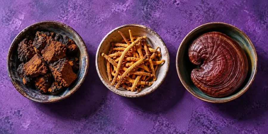 Trozos de chaga, cordyceps secos y un reishi entero en cuencos de cerámica