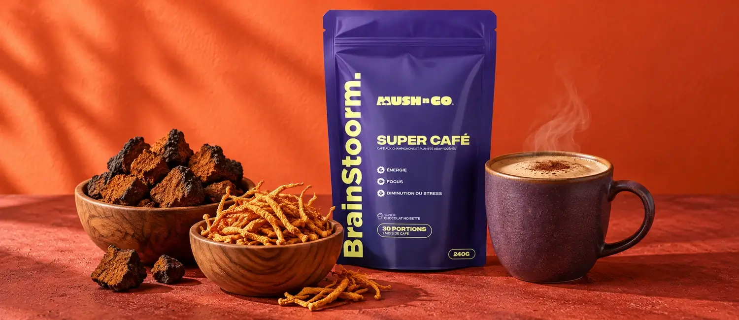 Chaga y cordyceps secos en cuencos de madera junto a una bolsa de Brainstoorm de Mush N Go y una taza de café de hongos